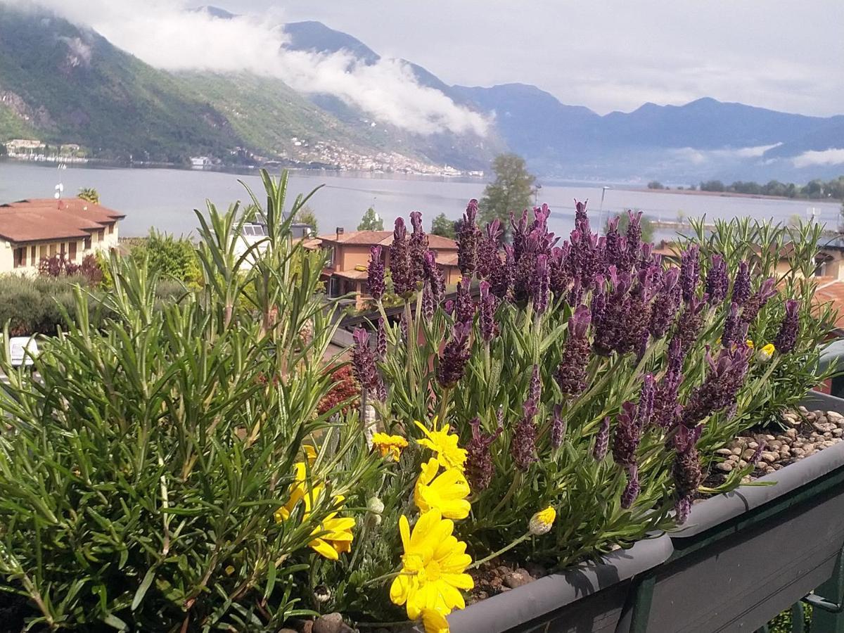 Lake View Terrace Paratico Dış mekan fotoğraf