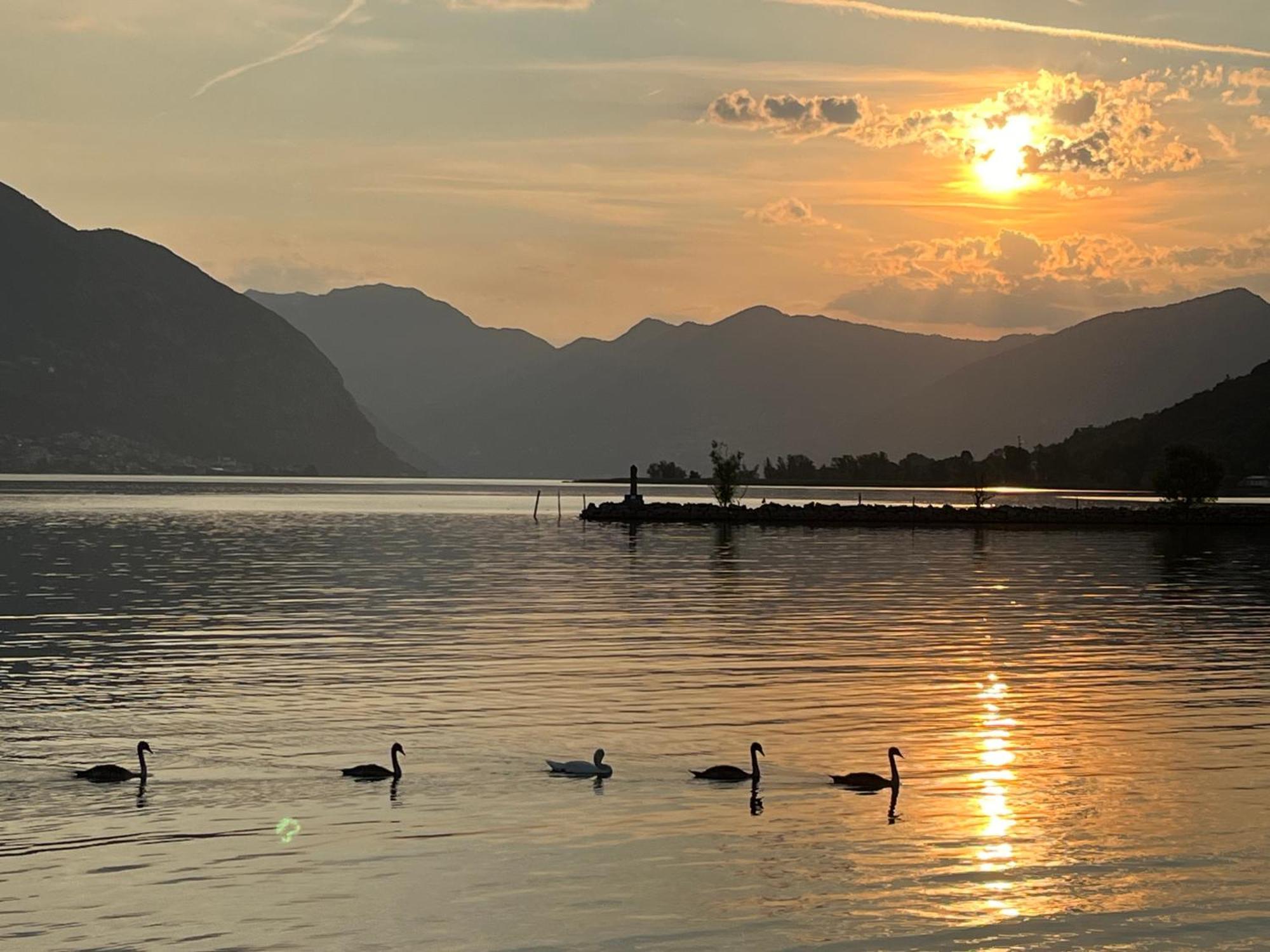 Lake View Terrace Paratico Dış mekan fotoğraf
